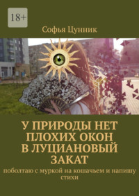 У природы нет плохих окон в луциановый закат. Поболтаю с муркой на кошачьем и напишу стихи