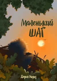 Маленький шаг