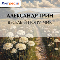Весёлый попутчик