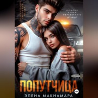 Попутчица