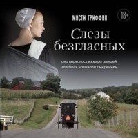 Слезы безгласных. Она вырвалась из мира амишей, где боль называли смирением