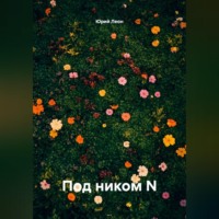 Под ником N