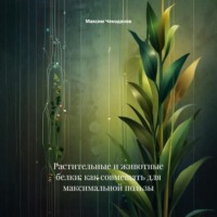 Растительные и животные белки: как совмещать для максимальной пользы