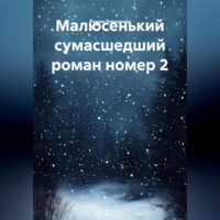 Малюсенький сумасшедший роман номер 2.