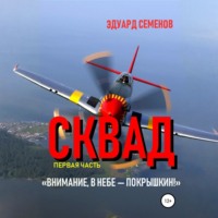 Сквад. Часть 1. «Внимание, в небе Покрышкин!»