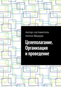 Целеполагание. Организация и проведение