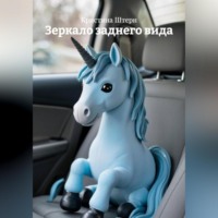 Зеркало заднего вида