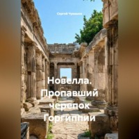 Новелла. Пропавший черепок Горгиппии.