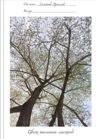 Цвет пыльных листьев