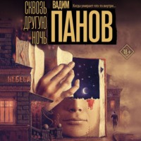 Сквозь другую ночь