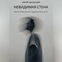 Невидимая стена