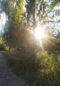 Наши пираты. Резкое изменение образа жизни