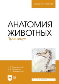 Анатомия животных. Практикум. Учебное пособие для вузов. 3-е издание, стереотипное