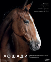 Лошади. Портреты, вдохновленные Рембрандтом