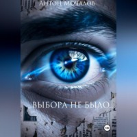 Выбора небыло
