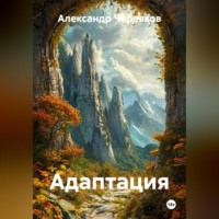 Адаптация