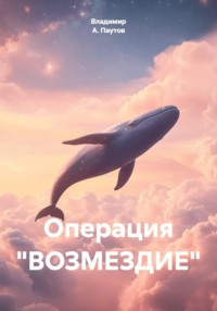 Операция «ВОЗМЕЗДИЕ»