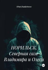 НОРИЛЬСК. Северная сага Владимира и Олеси