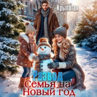 Развод. Семья на Новый год