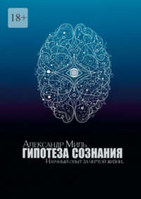 Гипотеза сознания. Научный опыт за чертой жизни