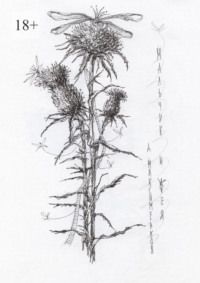 Мальчик и фея