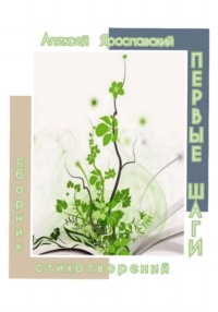 Первые шаги