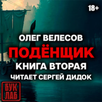 Подёнщик. Без права на перезагрузку