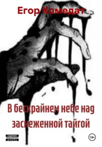 В бескрайнем небе над заснеженной тайгой