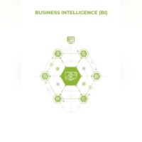 Business Intelligence (BI)