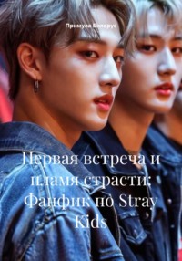 Первая встреча и пламя страсти: Фанфик по Stray Kids
