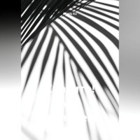 Спасите! Мы погибаем!