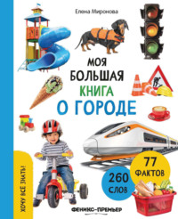 Моя большая книга о городе
