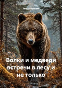 Волки и медведи встречи в лесу и не только