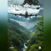 «Сталь, поющая в небе чудес»