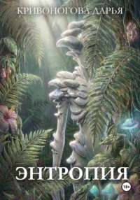Энтропия
