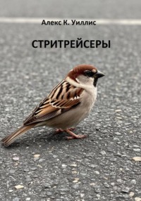 Стритрейсеры