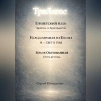 ТриЛогос 1.ЕГИПЕТСКИЙ ПЛЕН. Христос vs Христианство 2.ИСХОД ИЗРАИЛЯ ИЗ ЕГИПТА. Я – СВЕТ В ТЕБЕ 3. ЗЕМЛЯ ОБЕТОВАННАЯ. ПУТЬ ВГЛУБЬ