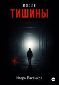 После тишины