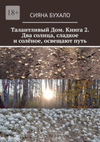 Талантливый Дом. Книга 2. Два солнца, сладкое и солёное, освещают путь