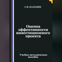 Оценка эффективности инвестиционного проекта