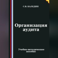 Организация аудита