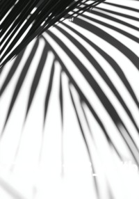 av-7724!_dfld3_#-#bs!5