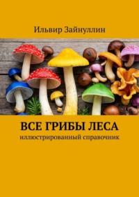 Все грибы леса. Иллюстрированный справочник
