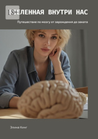 Вселенная внутри нас. Путешествие по мозгу от зарождения до заката