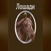 Лошади