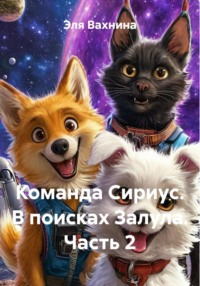 Команда Сириус. В поисках Залула. Часть 2
