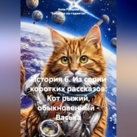 История 6. Из серии коротких рассказов: Кот рыжий, обыкновенный – Васька