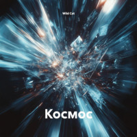 Космос