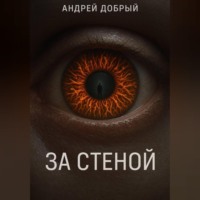 За Стеной