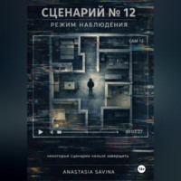Сценарий № 12